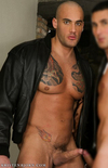 Alex Ribeiro image